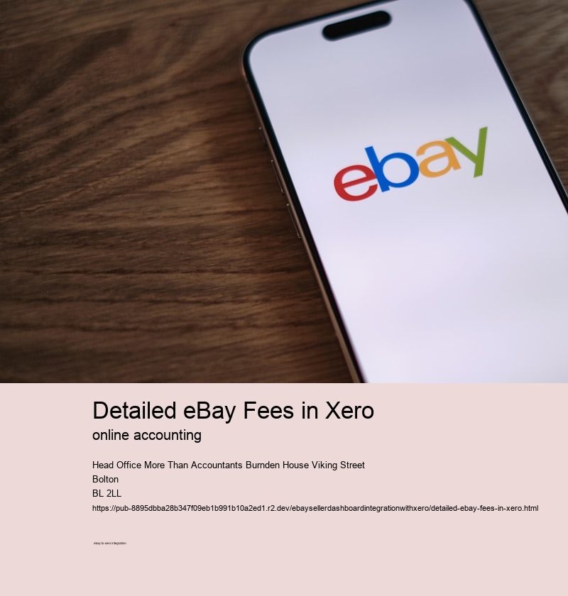 Detailed eBay Fees in Xero