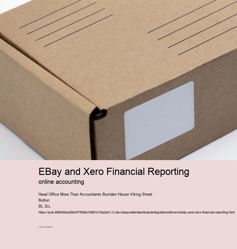 eBay and Xero Financial Reporting