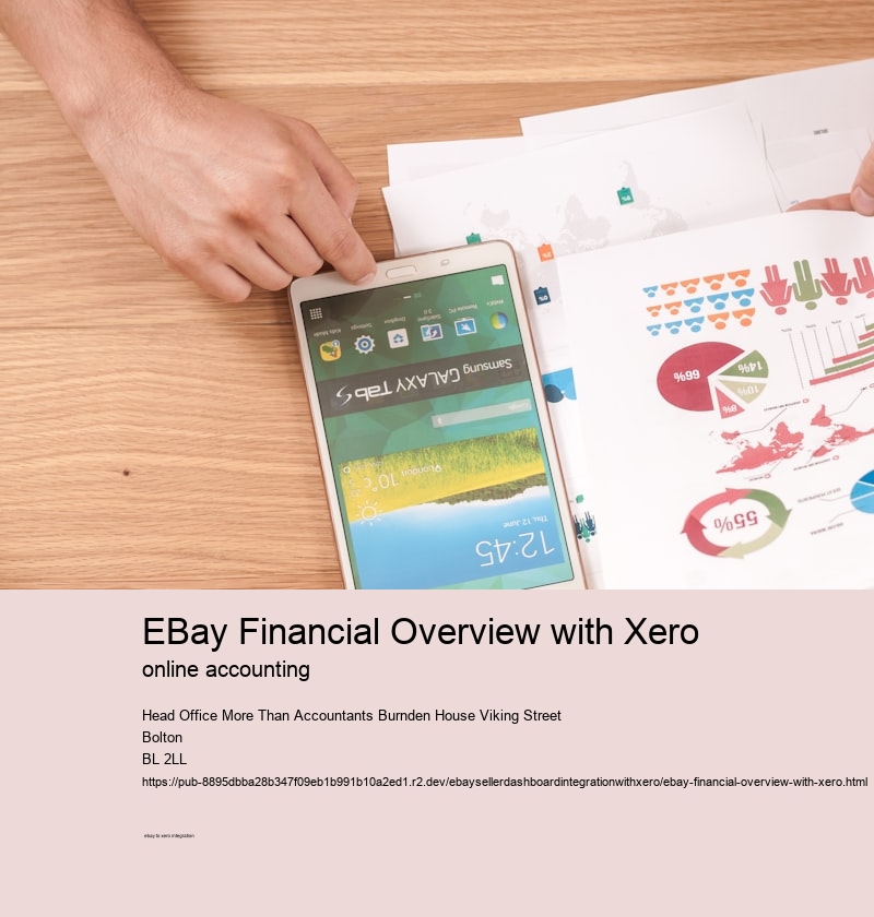 eBay Financial Overview with Xero