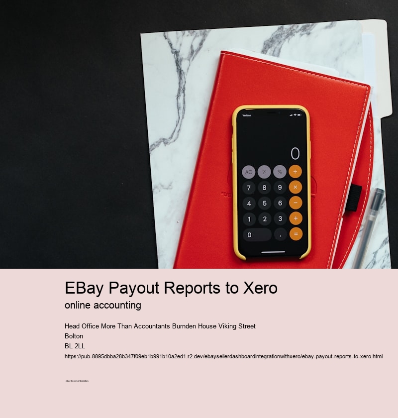 eBay Payout Reports to Xero