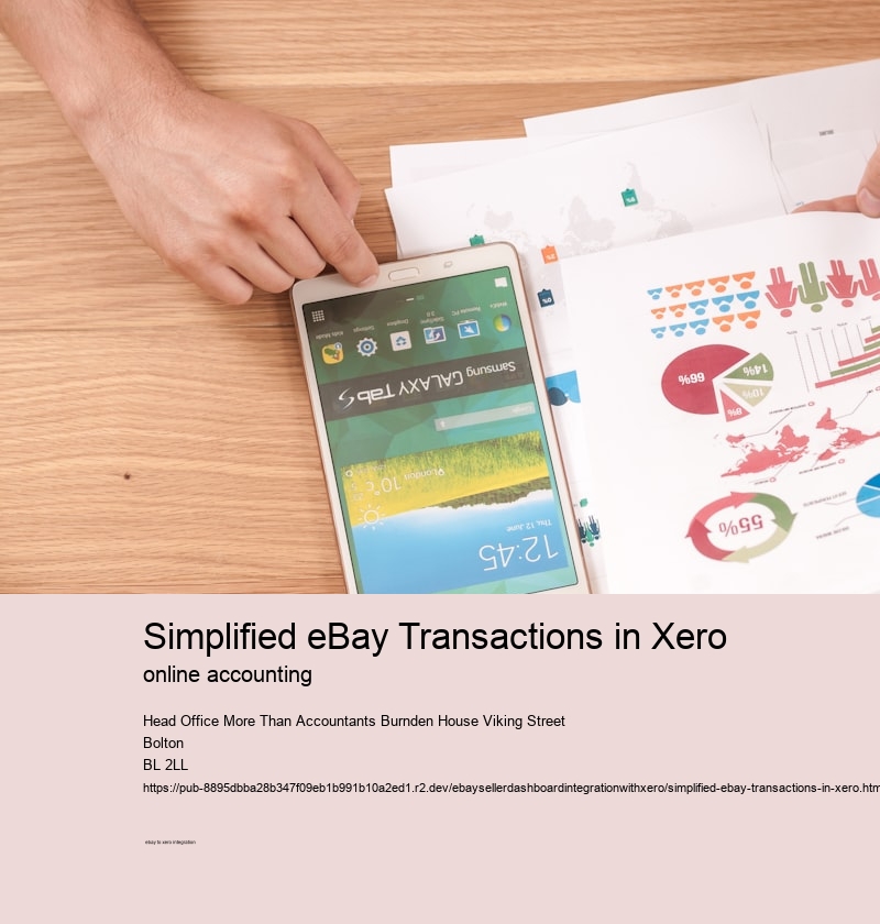 Simplified eBay Transactions in Xero