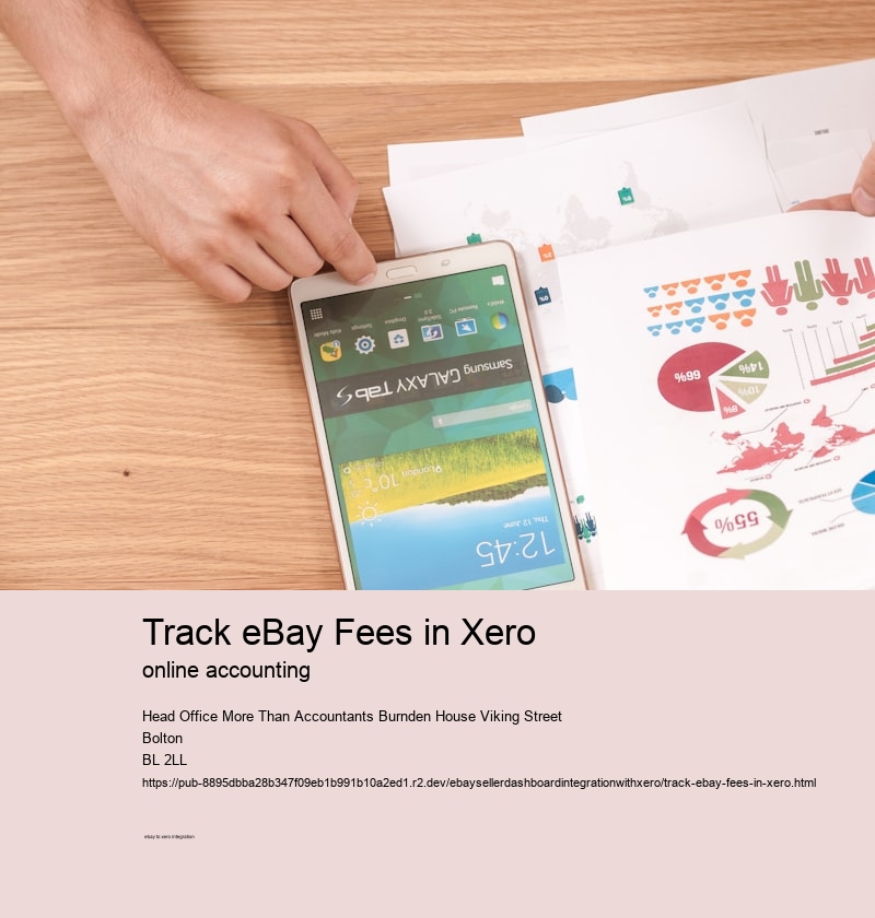 Track eBay Fees in Xero