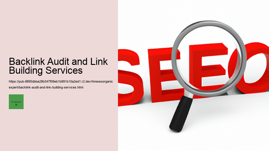 Backlink Audit and Link Building Services