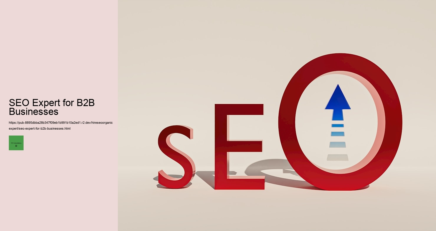 SEO Expert for B2B Businesses