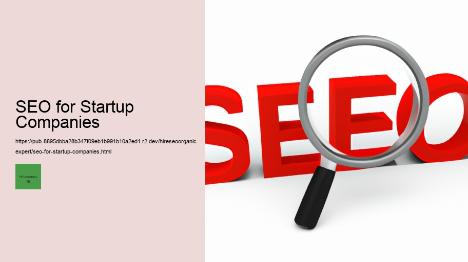 SEO for Startup Companies