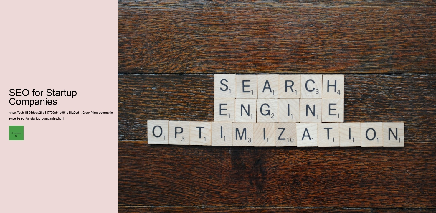 Analyzing the ROI of Investing in Professional SEO Services  