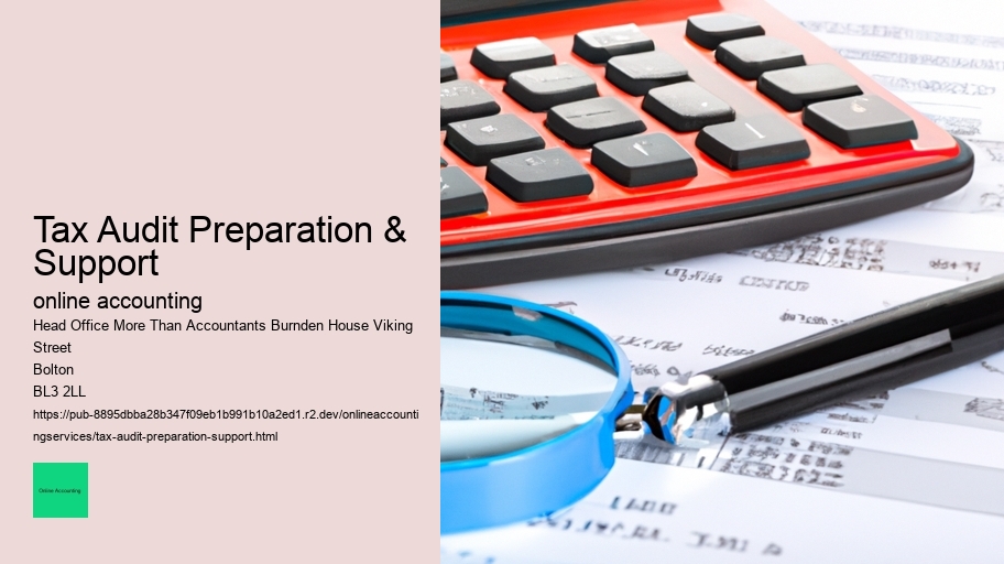 Tax Audit Preparation & Support